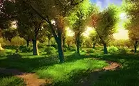 پکیج Nature Starter Kit 2